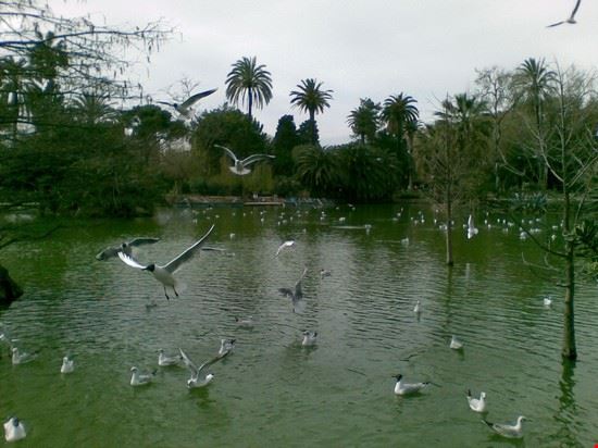 Parc della Ciutadella     Barcellona  