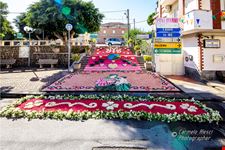 INFIORATA TERME VIGLIATORE (ME)