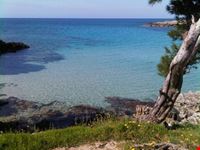 Lido Gandoli