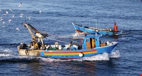 Barche pescatori