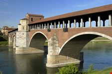 pavia pavia
