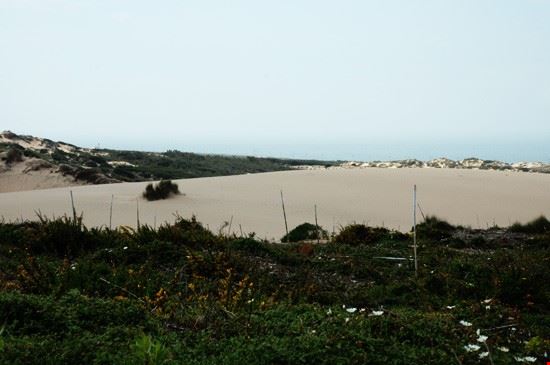 Praia do Guincho Praia do Guincho  