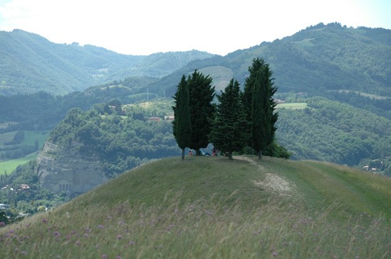 colli bolognesi