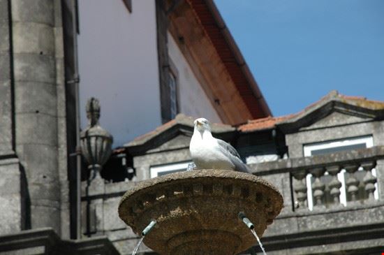  Espinho  