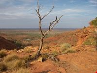 king s canyon national park-vicinanze ayers rock adelaide