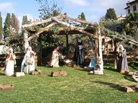 il presepe di san francesco assisi