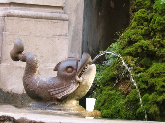 La fontana dei delfini nella città vecchia