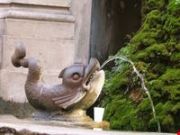 La fontana dei delfini nella città vecchia
