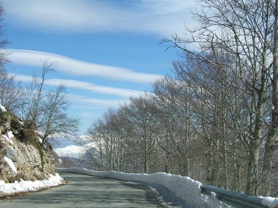  Frosinone  