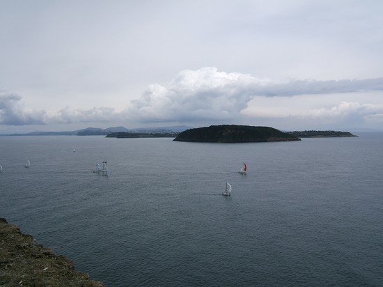 Procida da Ischia
