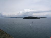 Procida da Ischia