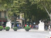 palma di maiorca paseo de born