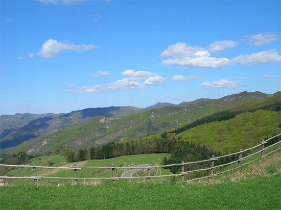territorio Comune di Dicomano