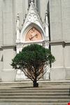 alessandria sezzadio