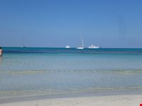 palma di maiorca es trenc