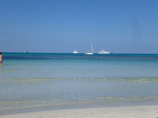Foto Palma Di Maiorca Es Trenc Imagenes Y Fotos De Palma De Mallorca 550x412 Autore Fede F