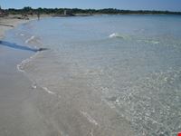 palma di maiorca es trenc