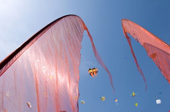  Cervia International Kite Festival - www.shutterstock.com International Kite Festival