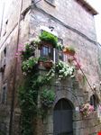 case fiorite del borgo