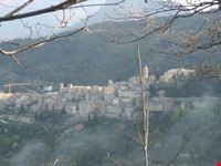 La nebbia