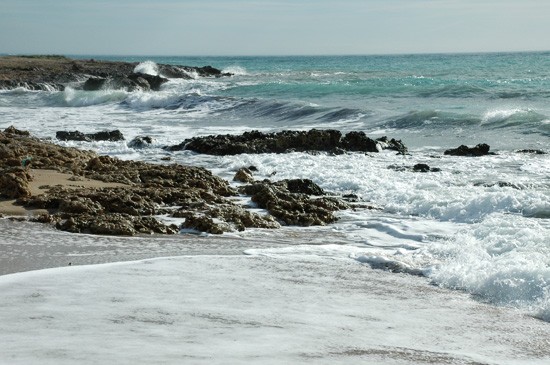 Lido Marini