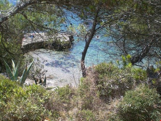 Cala Rotja Cala Ratjada  