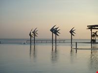 la piscina di cairns fronte mare all alba cairns