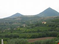 colli Euganei