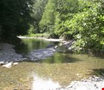 Torrente bardine Torrente bardine