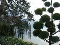 Lugano, Parco Ciani