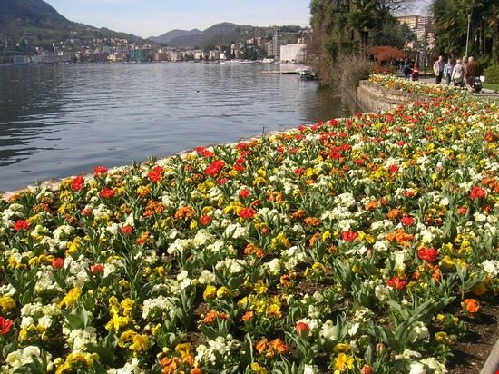  Lugano  