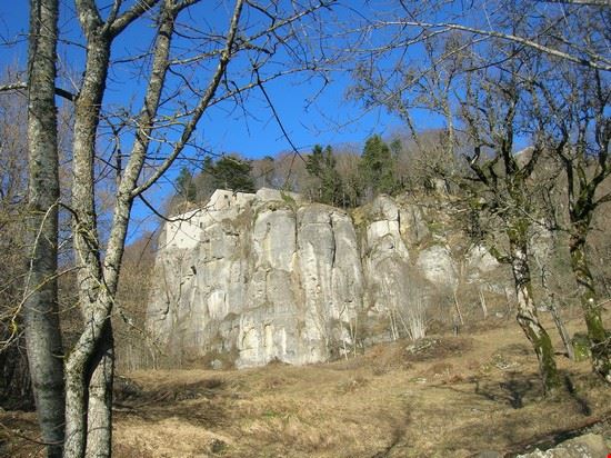 Santuario della Verna Santuario della Verna  