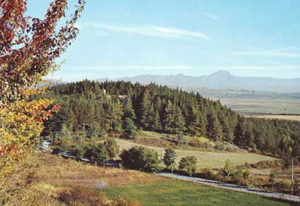 Pineta S. Leucio e Gran Sasso d'Italia
