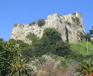 Forte la Carnale