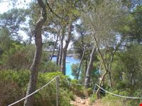 Cala Mitjana
