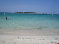 palma di maiorca platja d  es carbo