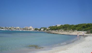 palma di maiorca es dolc palma di maiorca es dolc