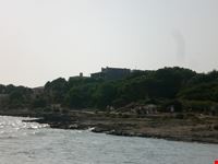 palma di maiorca es dolc