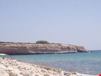 Scogliera