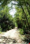 Il sentiero del Parco Fluviale del Molino Grande