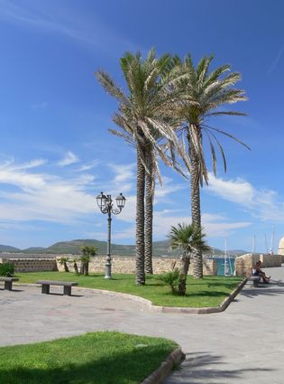 Le palme