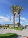 Le palme