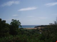 Cala Mosche