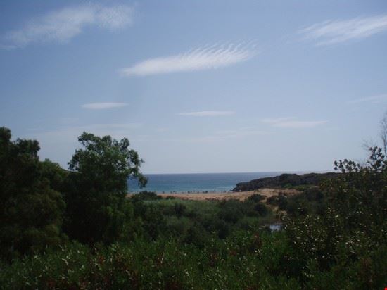  Noto  