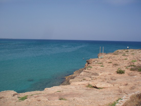 Scogliera di Cala Mosche