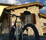casale casale