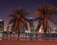 city scape miami