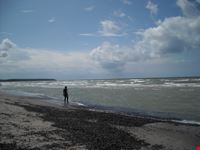 Wandermunde:Mare del Nord