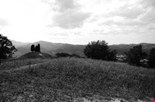 colli bolognesi
