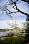 Washington Monument